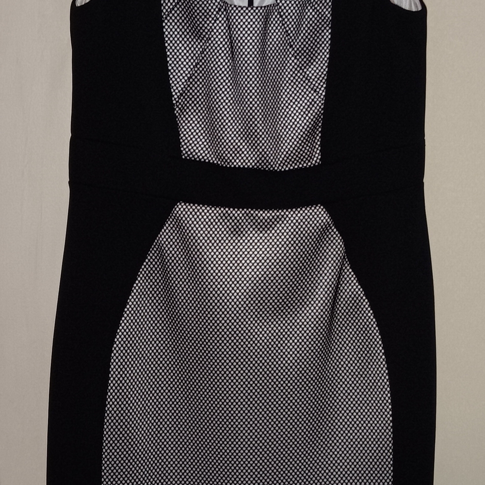Elegant Black and White Dress
